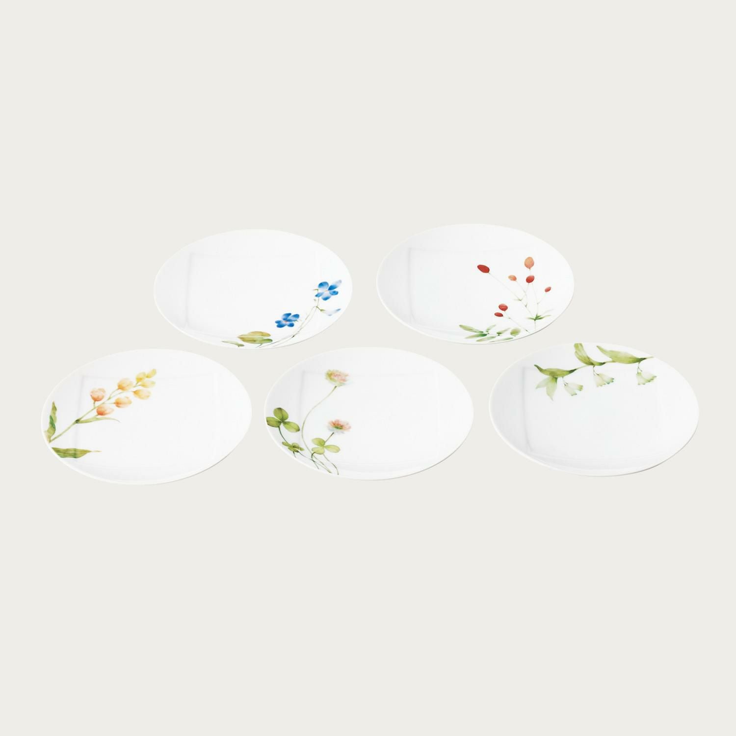 ノリタケ　食器セット プレート6枚 ボウル2枚 新生活キャンペーン2026］□特別価格□N4 Type II マットグリーン