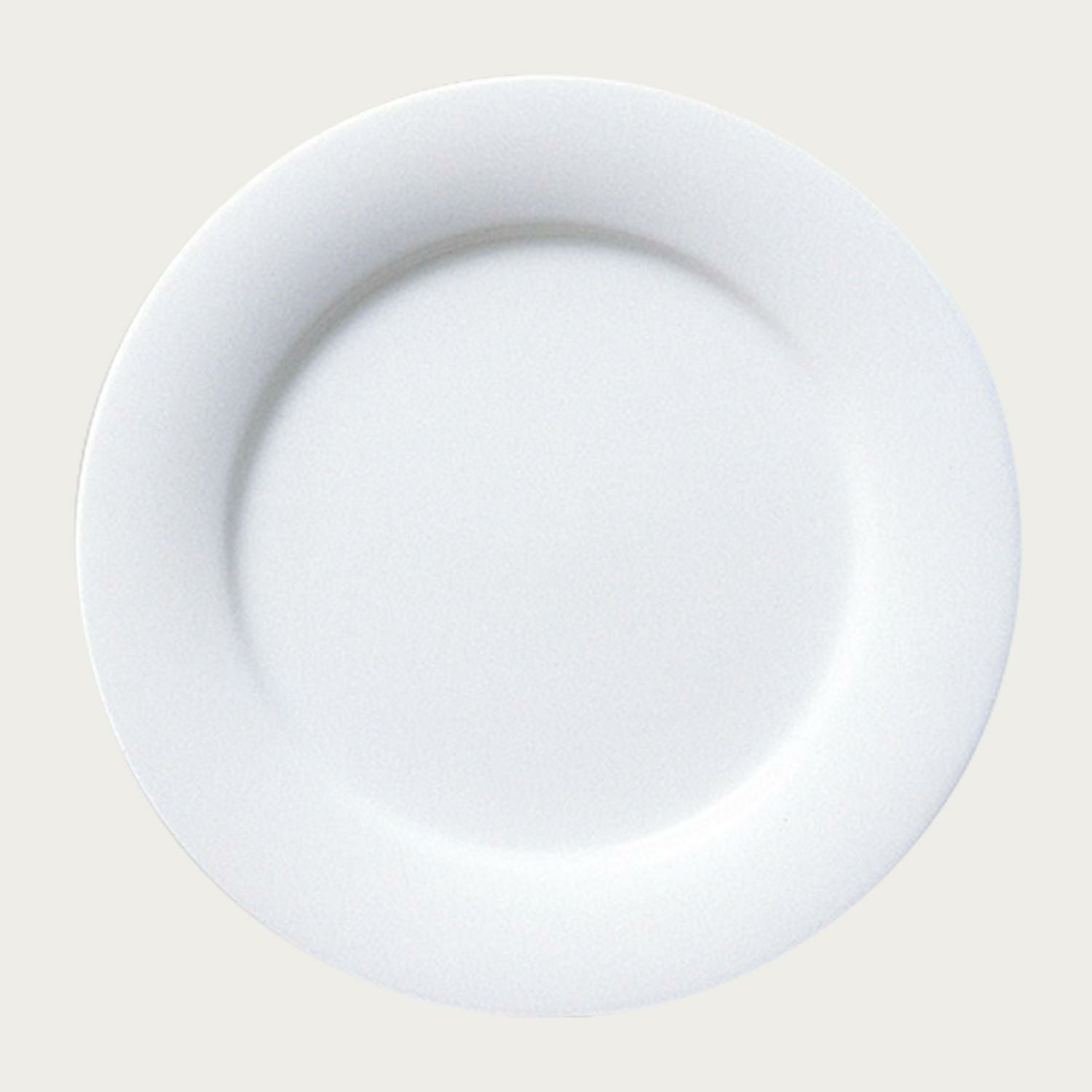 A7153【ノリタケ】シルクウインド 大皿 27cm プレート 2枚 サンクエトワール 27cmプレート | ノリタケ食器公式オンラインショップ