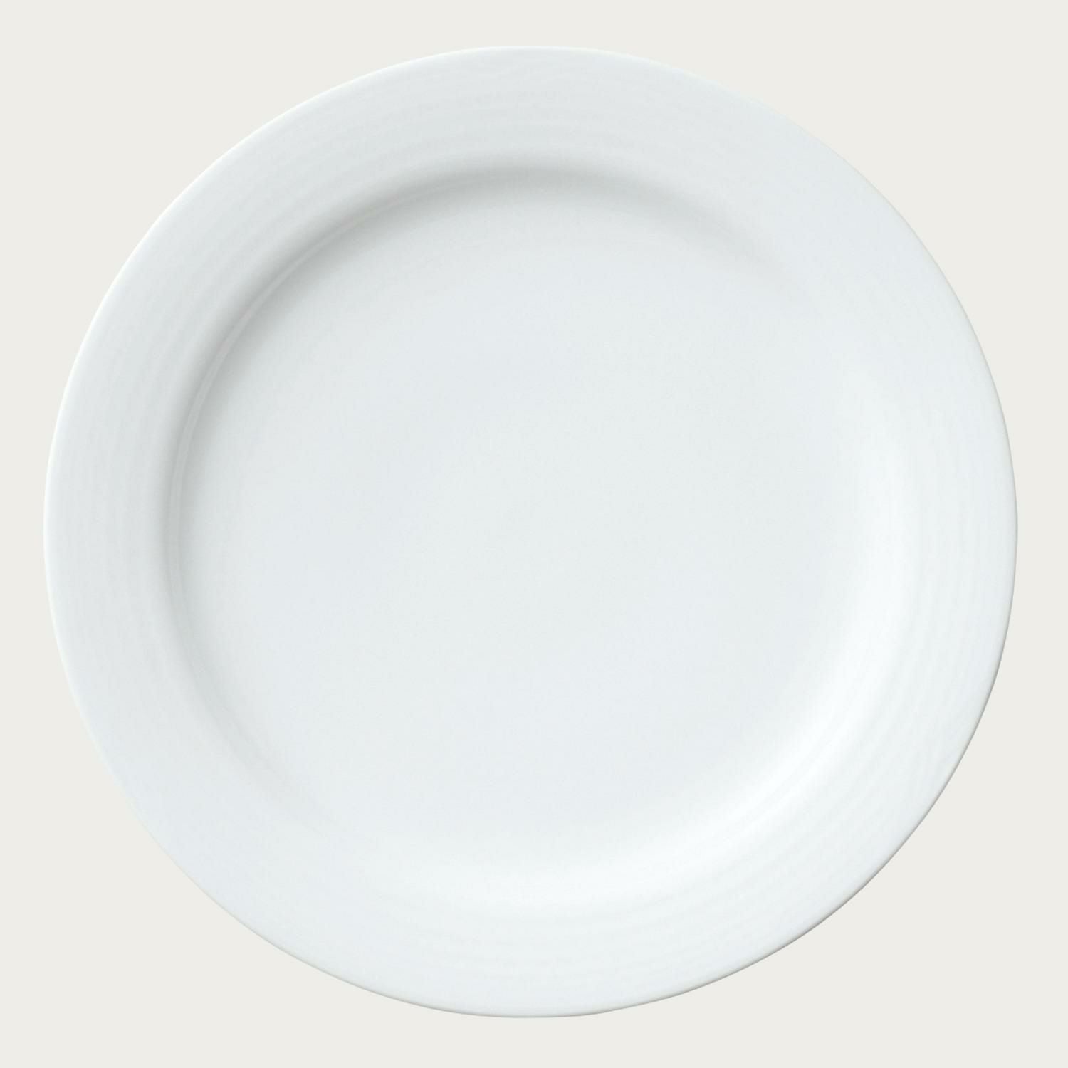ノリタケ　ヴィヴィットソロボーン　２７㎝ プレート　６枚 アークティック ホワイト 27cmプレート | ノリタケ食器公式オンライン