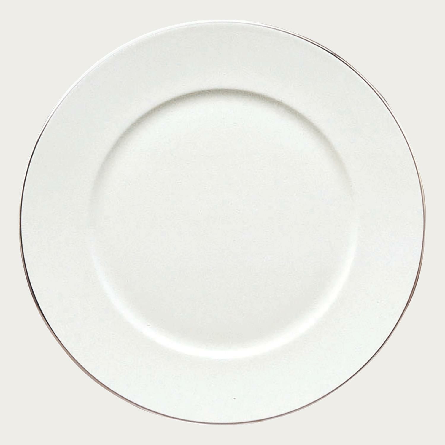 シャンパンパールズ 27.5cmプレート(ナローボーダー) | ノリタケ食器